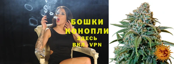 Альфа ПВП Горно-Алтайск