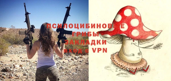 дурь Горнозаводск
