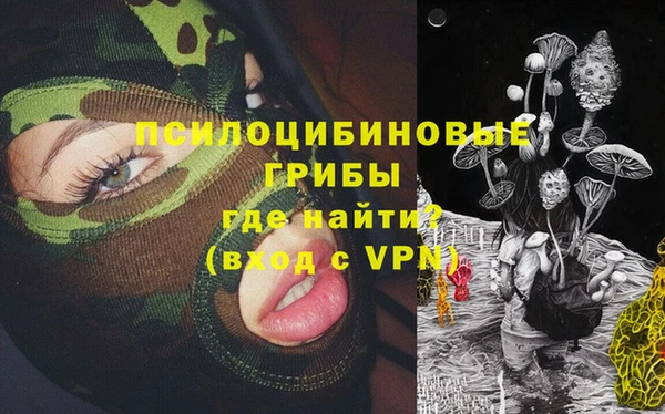 прущая мука Горняк