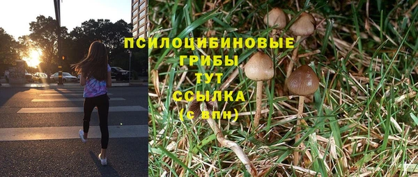 MDMA Вяземский