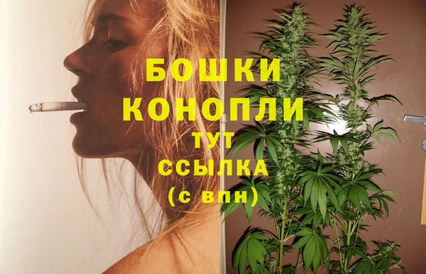 прущая мука Горняк